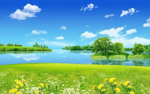 高端节能全自动
